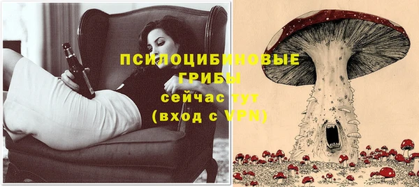 ПСИЛОЦИБИНОВЫЕ ГРИБЫ Алексеевка